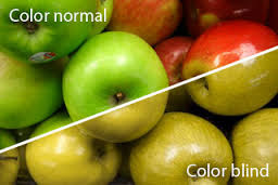 mata buta warna vs mata normal